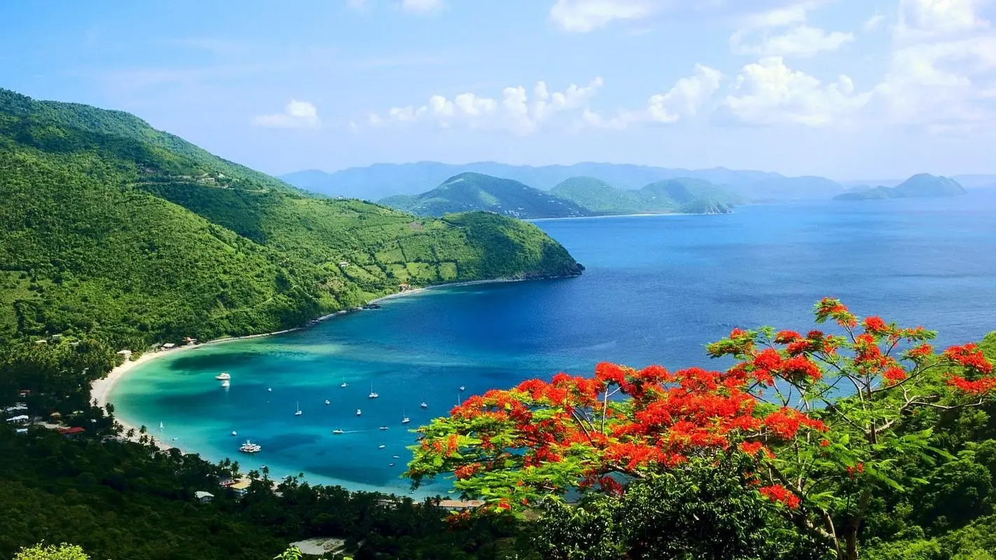 高标准可靠性先进